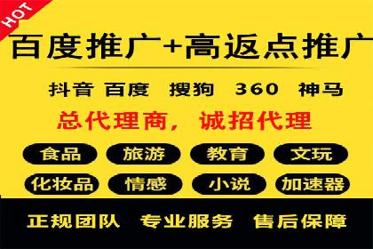 案例解读：SEO与SEM优化助力电商崛起